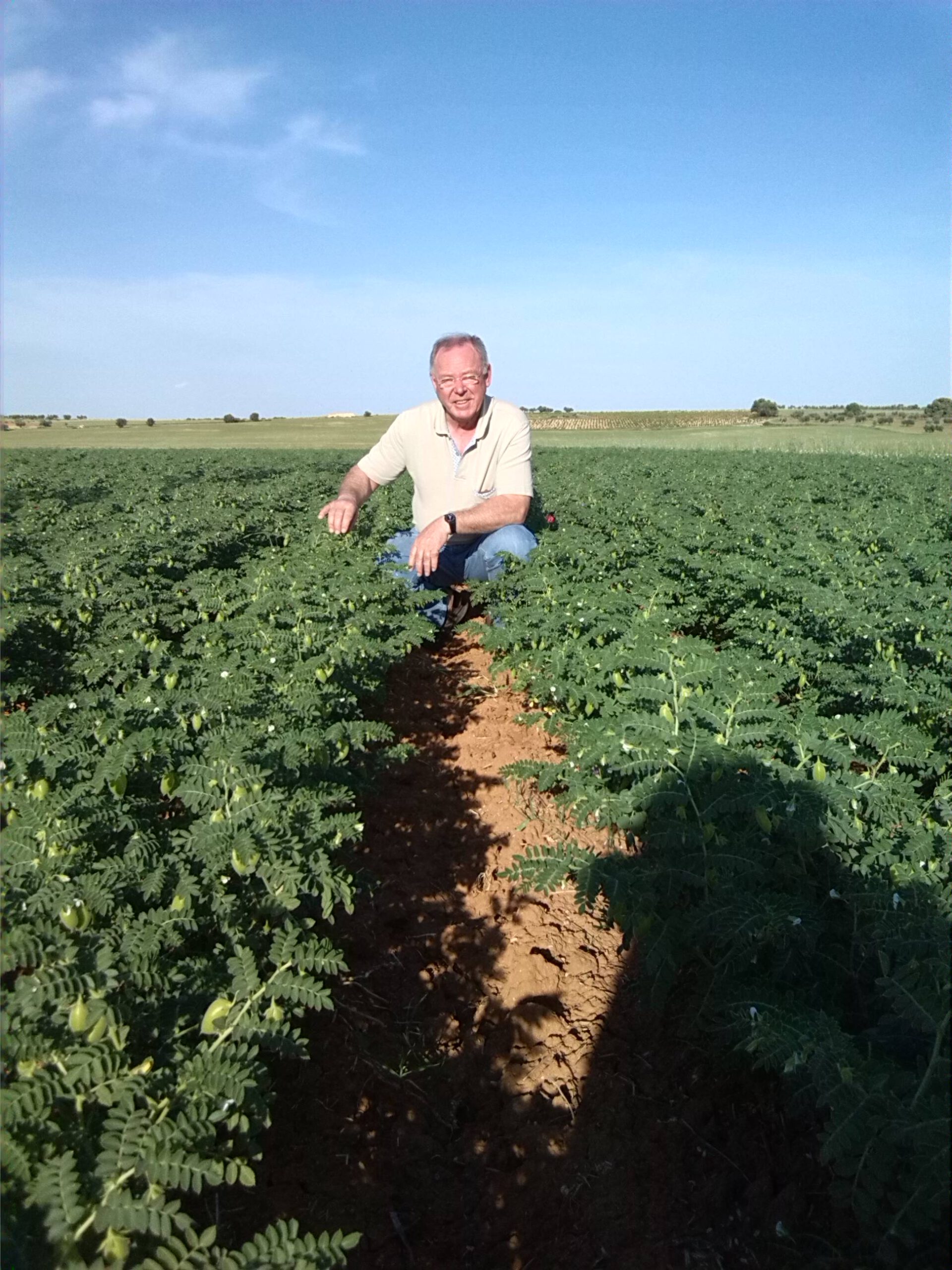 Sol, agua y tierra para la producción de conservas de leguminosas y hortalizas