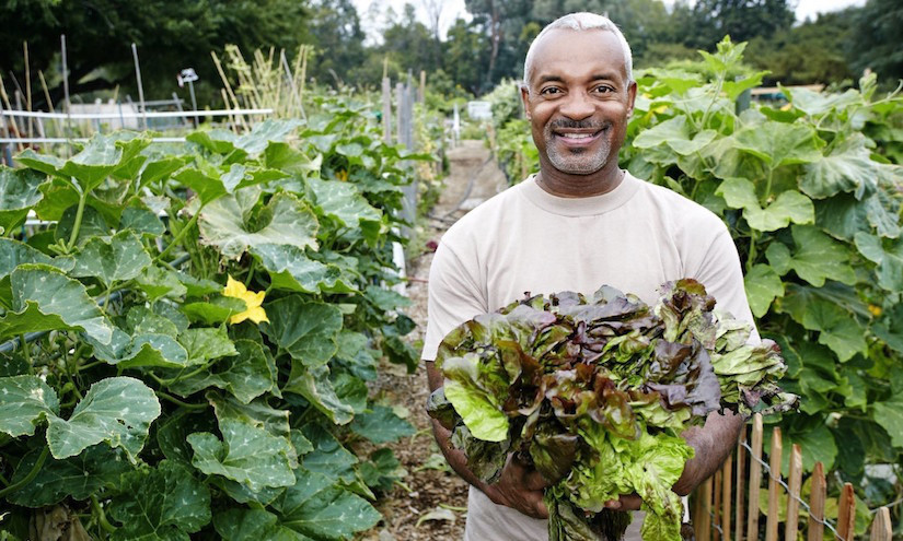 Necesitamos una agroecología política que avance hacia la Soberanía Alimentaria