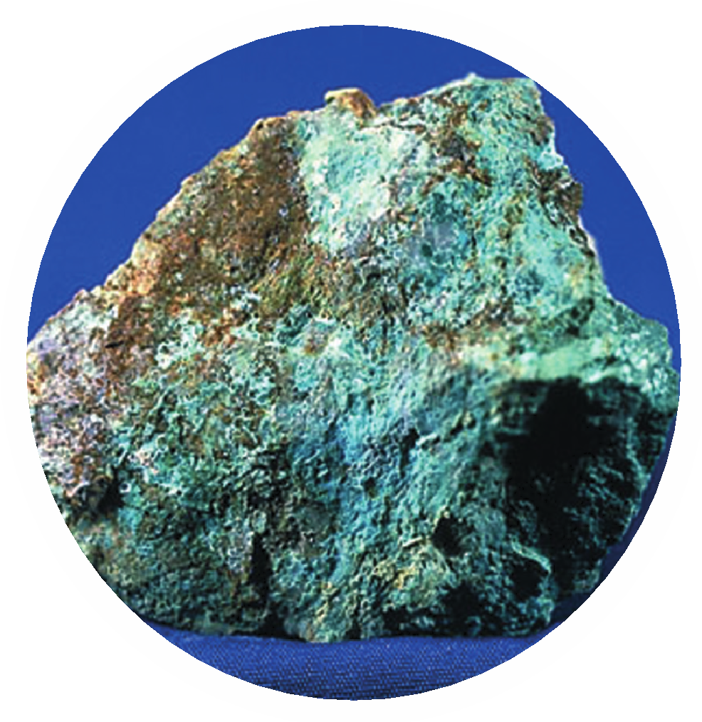 COBRE
