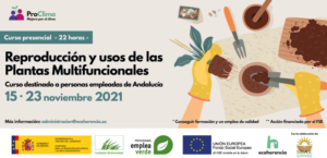 ECOHERENCIA