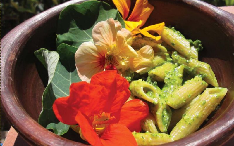 Receta con Plantas Alimenticias No Convencionales y Plantas Multifuncionales