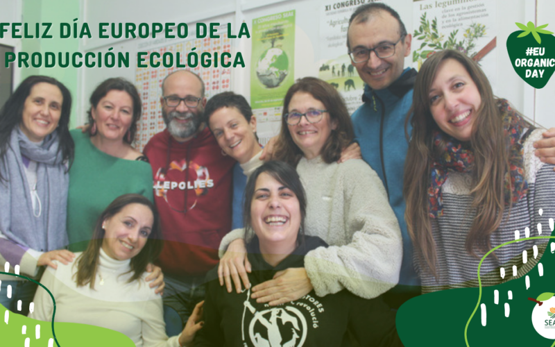 El motor de SEAE:  Un Equipo Técnico profesionalizado