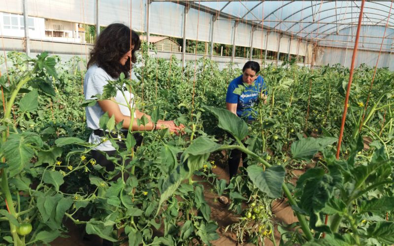 “Cuando un cole quiere menús ecológicos tiene que descubrir qué es la temporalidad”