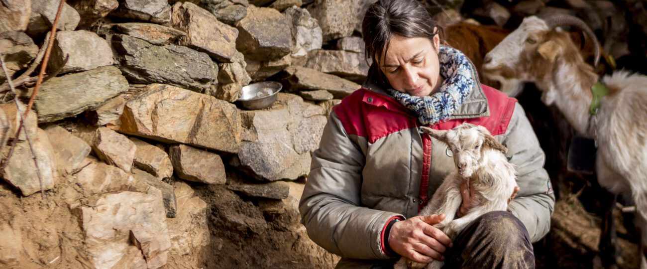 “Este rebaño es la prueba de cómo repercuten los beneficios de la ganadería extensiva en zonas rurales de montaña”