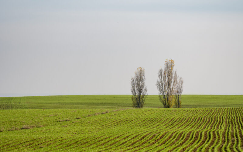 La Ley de Restauración de Naturaleza deja fuera a la biodiversidad agraria