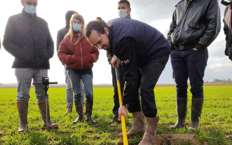 “Los suelos: el mundo que reúne lo esencial de la vida del planeta”