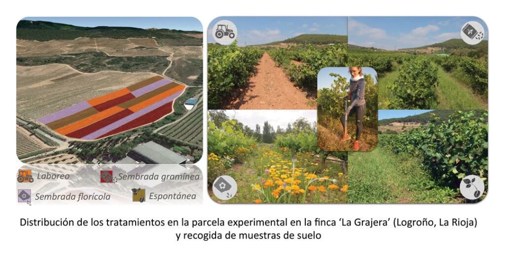 la grajera logroño