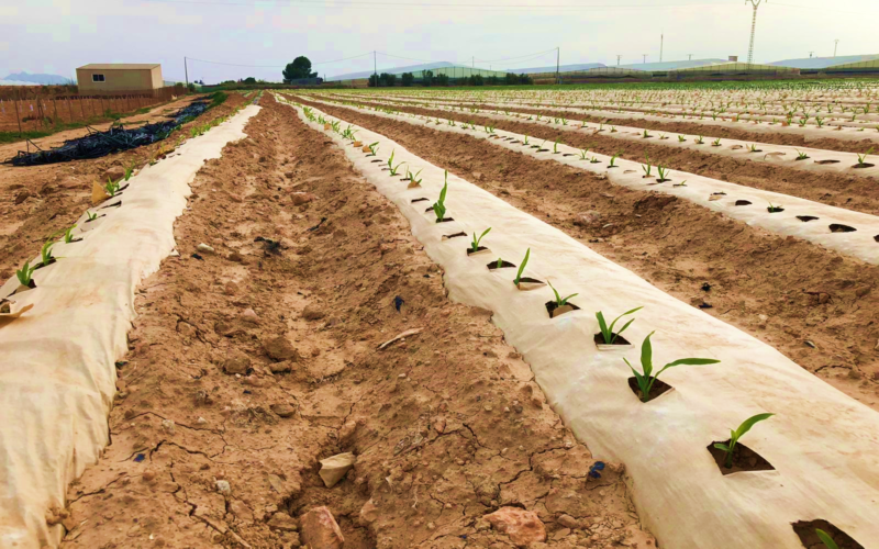 AgroPaper® obtiene la certificación OK Compost