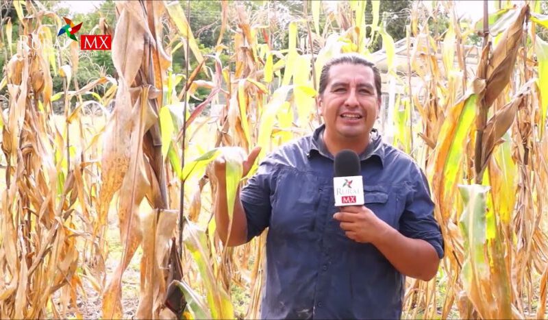 Curso sobre Agricultura Ecológica de última generación: fincas autosuficientes a bajo coste