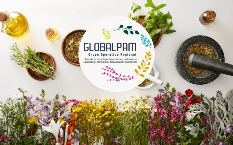 SEAE organiza un curso especializado en plantas aromáticas con el GO GLOBALPAM