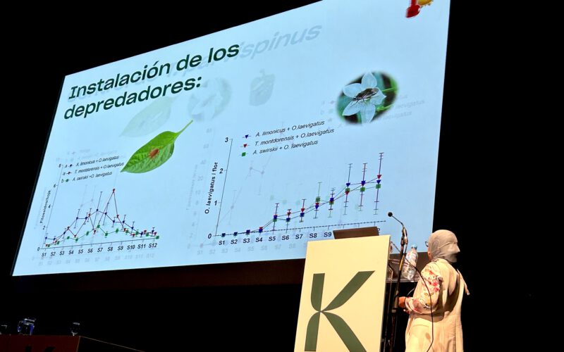Thrips Parvispinus ya tiene quien le venza: Limonica y Montdo Ulti-Mite