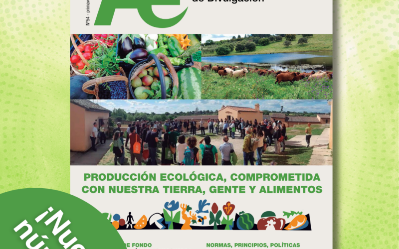 Editorial Revista Ae 54: Puesta a punto. Ni un paso atrás
