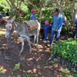 coop_int_revistaae_54_seae_rebibir_ase_almendrachiquitana_prodruccion_agroecologica4