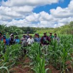 Avances y desafíos del proyecto “Manejo integral de bosque en comunidades indígenas Chiquitanas (Bolivia) mediante sistemas de producción agroecológica”