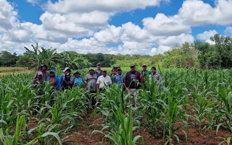 Avances y desafíos del proyecto “Manejo integral de bosque en comunidades indígenas Chiquitanas (Bolivia) mediante sistemas de producción agroecológica”
