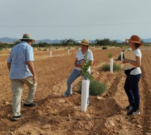 Nace la «Red de fincas CultivEco» en la cuenca vertiente del Mar Menor