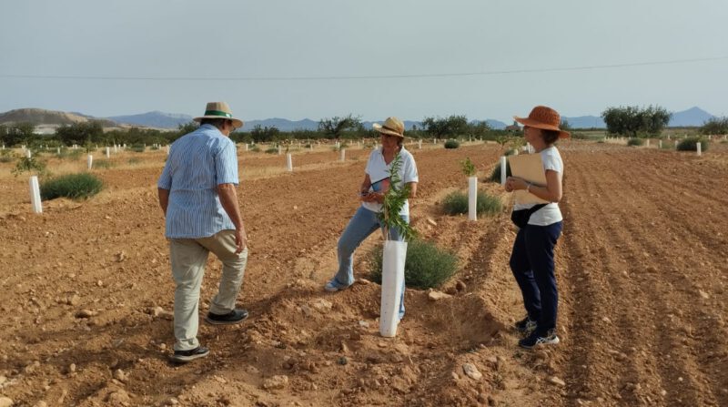Únete a la «Red de fincas CultivEco» en la cuenca vertiente del Mar Menor