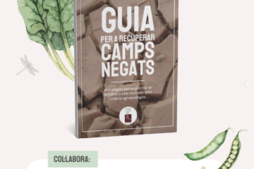 Estrategias para devolver la fertilidad a campos inundados bajo criterios agroecológicos