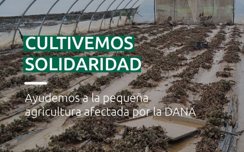 ¡Gracias por el apoyo! Sigamos “Cultivando Solidaridad” para la pequeña agricultura familiar valenciana
