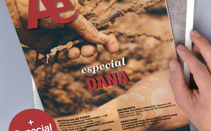 Índice de contenidos: Revista Ae especial DANA