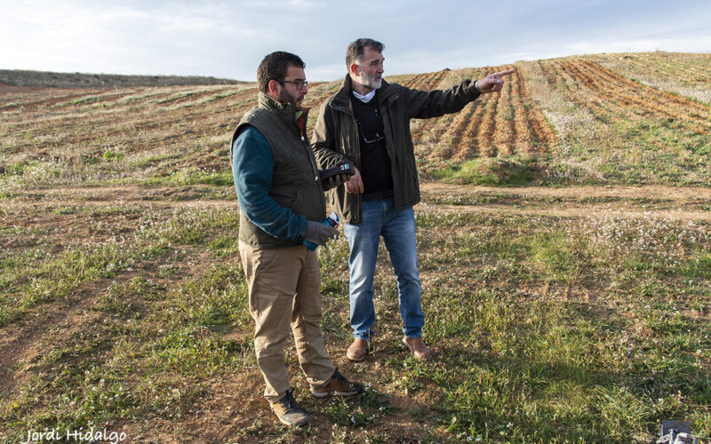 «Podemos decir que somos los primeros en cultivar azafrán ecológico en Aragón, en España y casi seguro que en Europa»