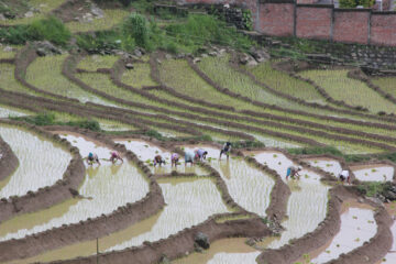 SIKKIM, el primer Estado ecológico del mundo. Cómo un Estado asume su responsabilidad y trabaja por y para la gente