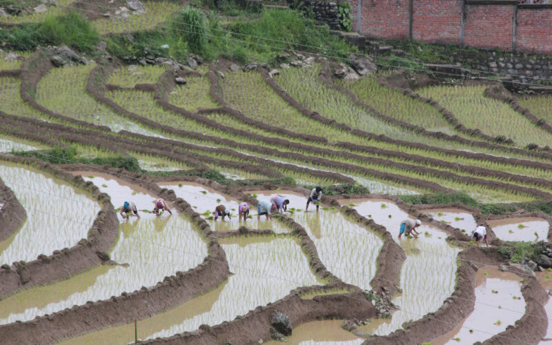 SIKKIM, el primer Estado ecológico del mundo. Cómo un Estado asume su responsabilidad y trabaja por y para la gente