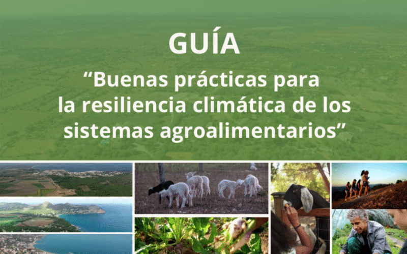 La Guía EcoTerRes: claves prácticas para construir resiliencia climática desde el territorio