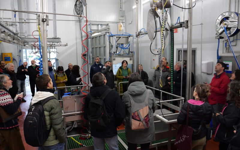 Centros de transformación cárnica colectivos: innovación desde lo rural para la viabilidad y relevo en la ganadería extensiva