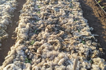 La lana revolucionando el sector agrícola