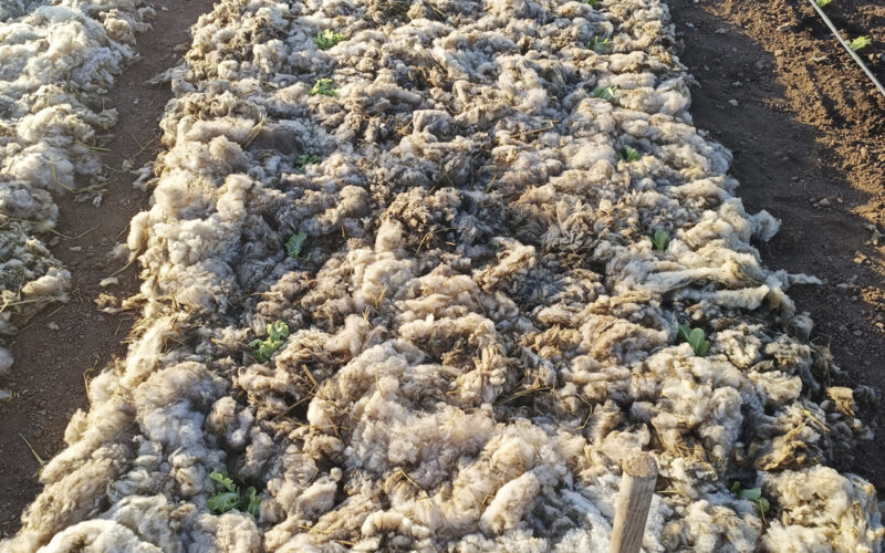 La lana revolucionando el sector agrícola