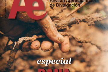 Descarga el especial de Ae dedicado a la DANA: un homenaje a quienes resistieron el 29 de octubre de 2024