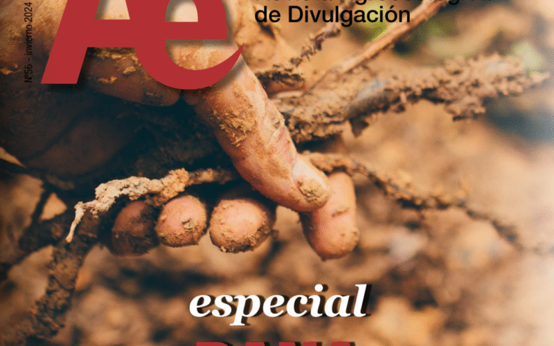 Descarga el especial de Ae dedicado a la DANA: un homenaje a quienes resistieron el 29 de octubre de 2024