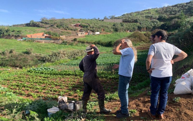 II Edición programa Sustentta para cooperativas agroalimentarias