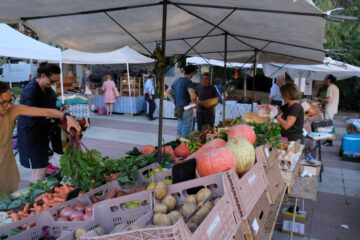 Ecoterritorios y Living Labs Agroecológicos: dos caras de una misma transformación