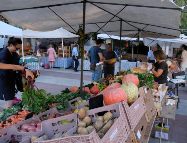 Ecoterritorios y Living Labs Agroecológicos: dos caras de una misma transformación