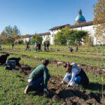 Promoción de la transición ecológica mediante sistemas agroforestales