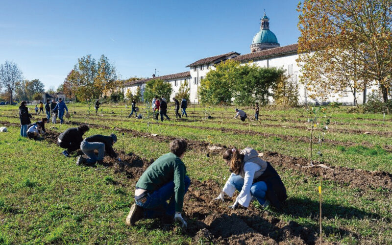 Promoción de la transición ecológica mediante sistemas agroforestales