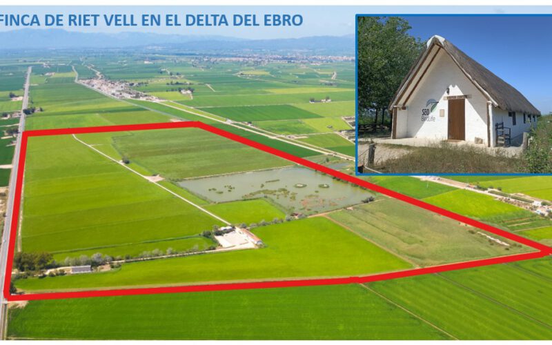 Riet Vell abre sus puertas a nuevos socios
