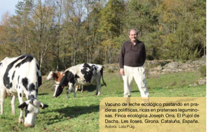 Las leguminosas en la alimentación de la ganadería ecológica