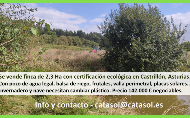 Catasol busca relevo: SE VENDE finca ecológica certificada en Castrillón, Asturies