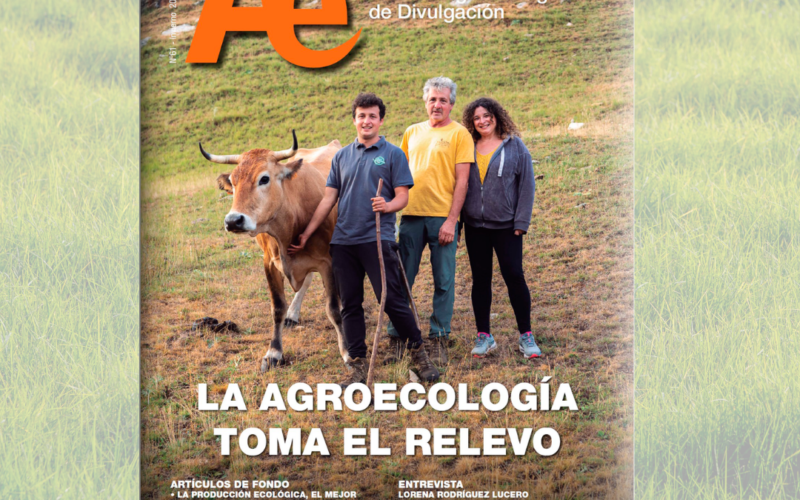 Con Abel en portada, y una pregunta que no podemos esquivar