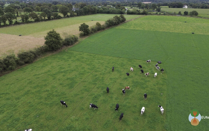 EUfarms: las fincas pioneras que están escalando la agroecología en Europa