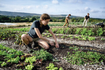 La producción ecológica, el mejor argumento para el relevo generacional