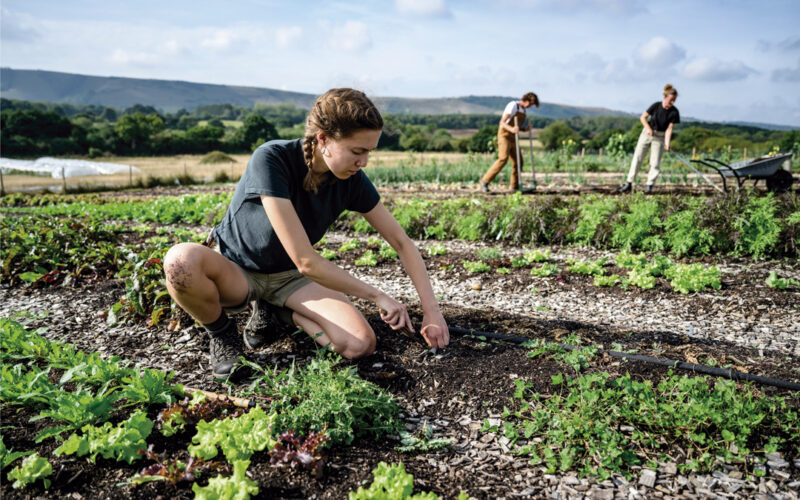 La producción ecológica, el mejor argumento para el relevo generacional