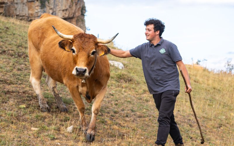 “Casi se te hace más duro la burocracia que estar con los animales”