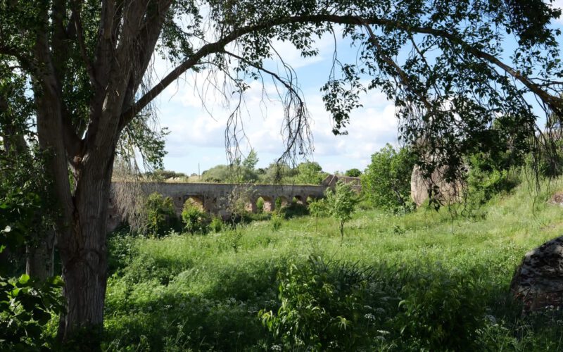 El Parlamento Europeo da luz verde a la revisión del Reglamento ecológico