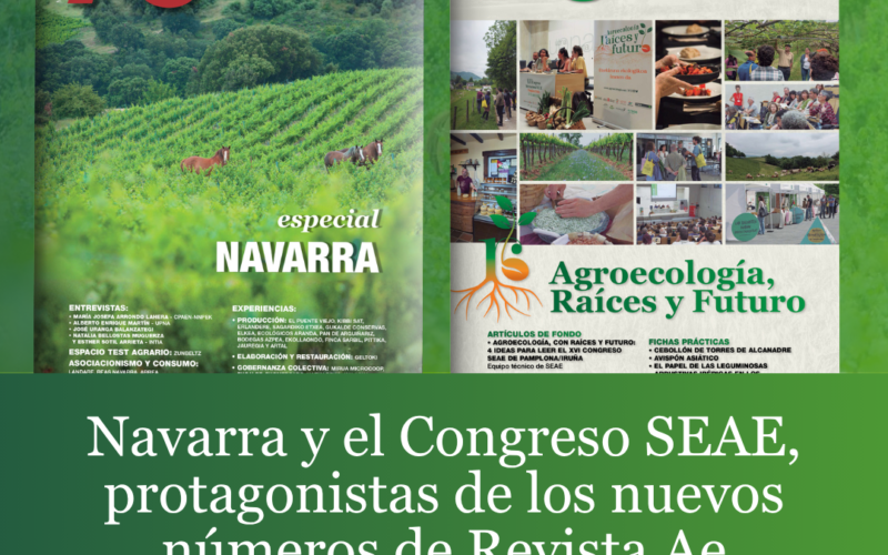 Protegido: Las revistas Ae 62 y Ae 63, listas para descargar