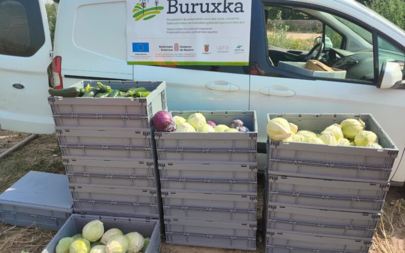 Buruxka, proyecto de espigamiento en Navarra, como valor social y ambiental. 