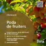 Curs - Poda d'arbres fruiters